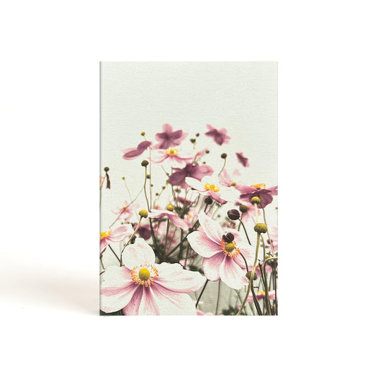 john's flowers. a5
