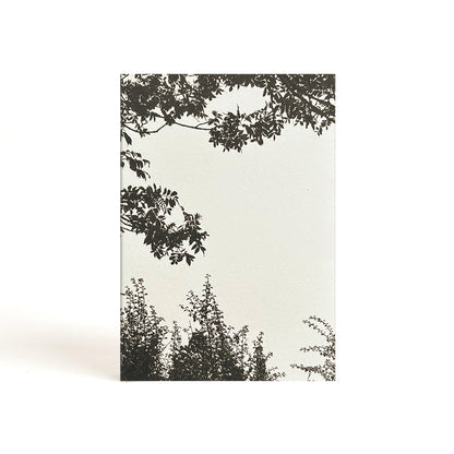 looking up. a5