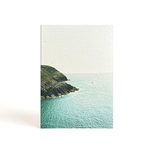 roberts cove. a5